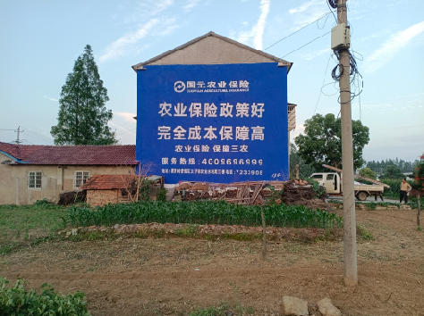 若尔盖墙体广告的优劣势你知道吗？