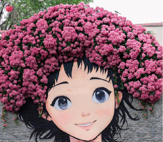 若尔盖墙体彩绘-网红墙打卡